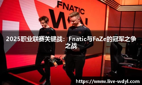 2025职业联赛关键战：Fnatic与FaZe的冠军之争之战